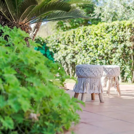 Vinghi - 维拉西米乌斯