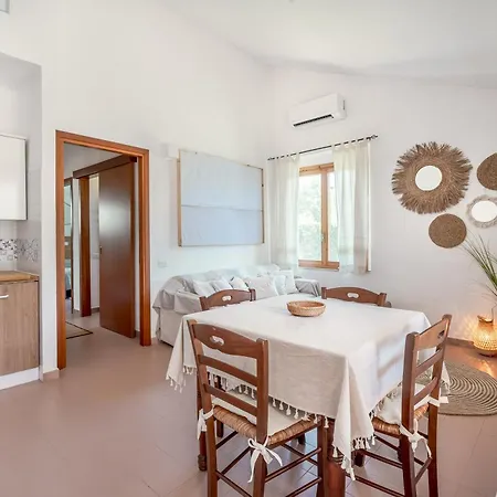 Vinghi - 维拉西米乌斯