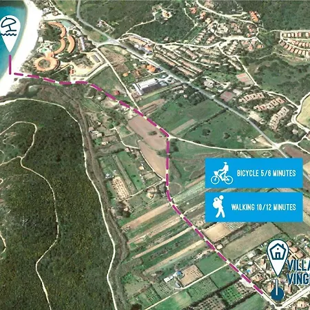 Vinghi -